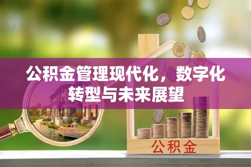 黄石公积金管理现代化，数字化转型与未来展望