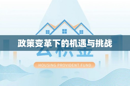 黄石政策变革下的机遇与挑战