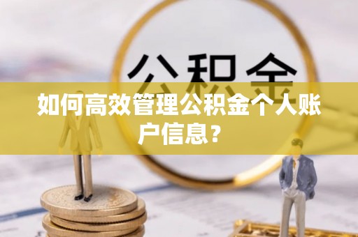 黄石如何高效管理公积金个人账户信息？