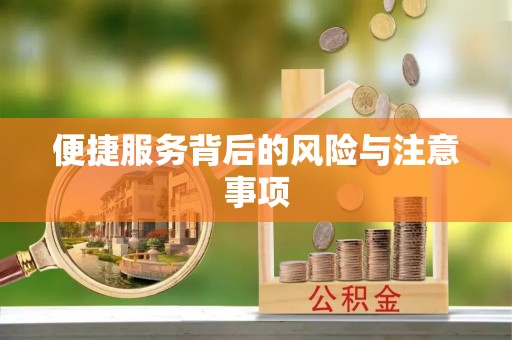 黄石便捷服务背后的风险与注意事项