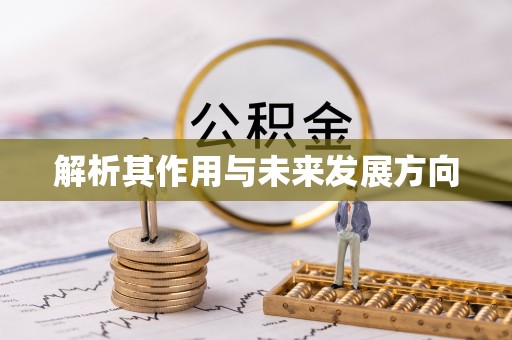 黄石解析其作用与未来发展方向