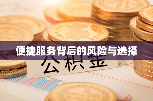 黄石便捷服务背后的风险与选择