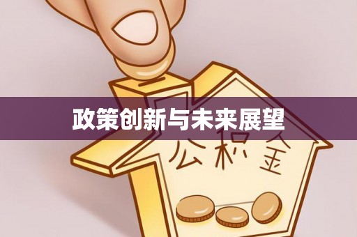 黄石政策创新与未来展望
