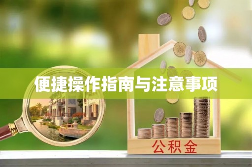 黄石便捷操作指南与注意事项